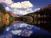ecosse