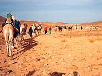 hoggar